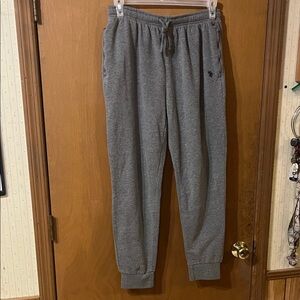 Us polo assn sweatpants